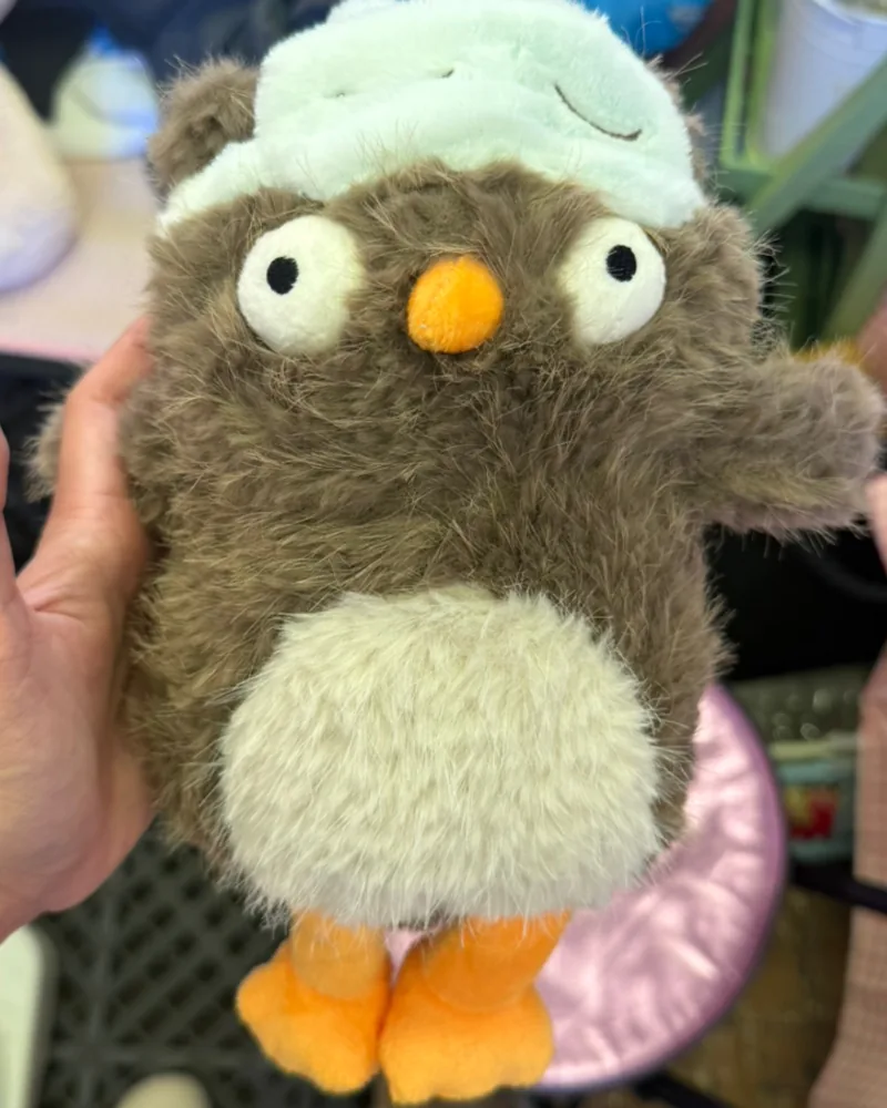 Sleepy Owl